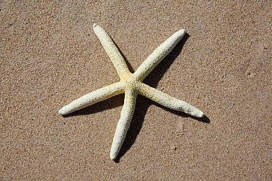 《黑神话：悟空》明日登陆Xbox 官方发文欢迎